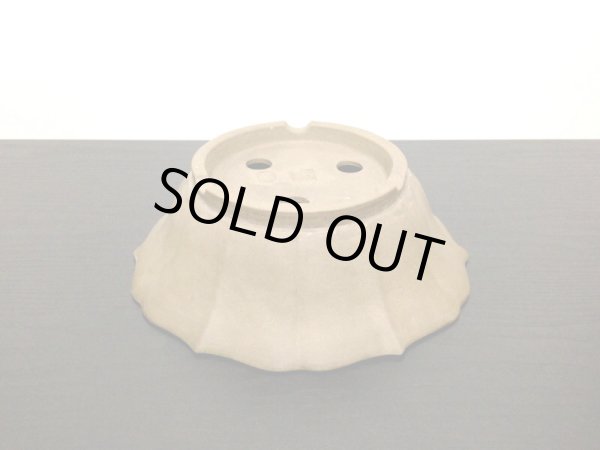 Photo3: Bonsai Pot / Rinka (3)