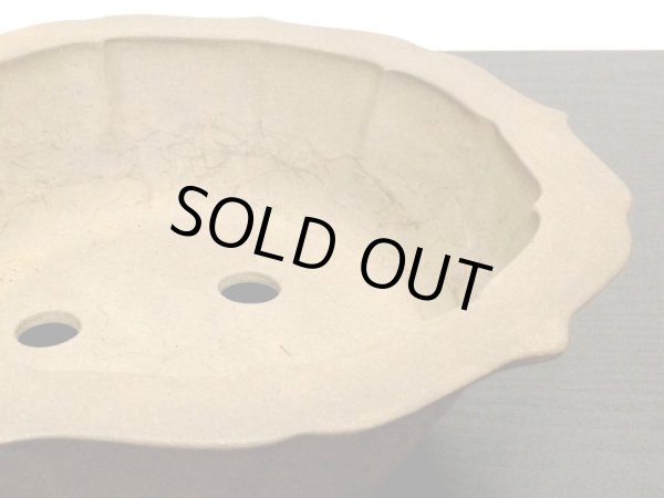 Photo5: Bonsai Pot / Rinka (5)