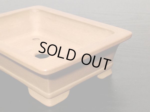 Photo7: "Gyozan" Tokoname Pot / Japanese Bonsai Pot (7)