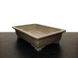 Photo5: "Nakano Gyouzan " Tokoname Pot / Japanese Bonsai Pot (5)