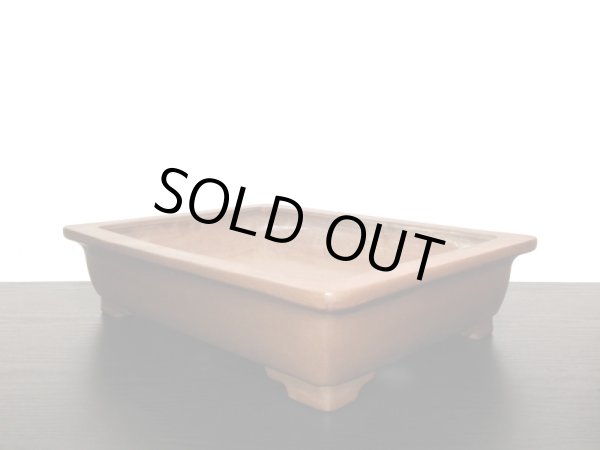 Photo3: "Nakano Gyouzan " Tokoname Pot / Japanese Bonsai Pot (3)