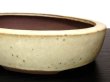 Photo5: "Shousen Yamaaki " Tokoname Pot / Japanese Bonsai Pot (5)