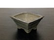 Photo5: "Yamaaki " Tokoname Pot / Japanese Bonsai Pot (5)