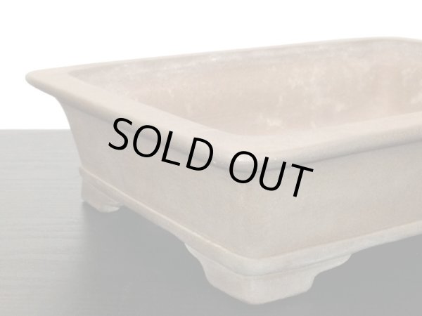 Photo7: "Nakano Gyouzan " Tokoname Pot / Japanese Bonsai Pot (7)