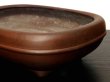 Photo5: "Shousen Yamaaki " Tokoname Pot / Japanese Bonsai Pot (5)