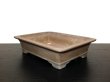 Photo3: "Nakano Gyouzan " Tokoname Pot / Japanese Bonsai Pot (3)