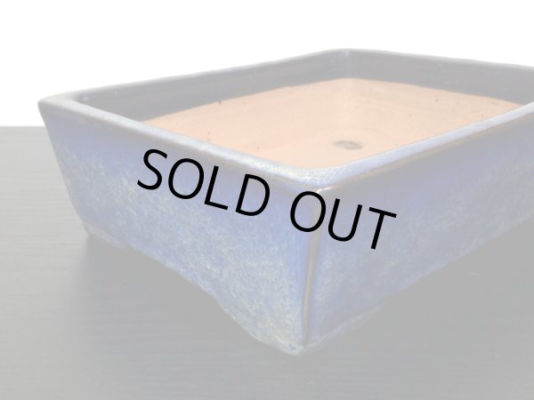 Photo4: "Shuho" Tokoname Pot / Japanese Bonsai Pot (4)