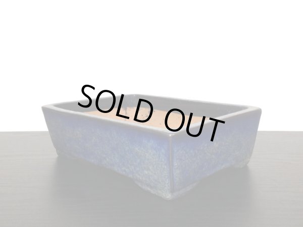 Photo5: "Shuho" Tokoname Pot / Japanese Bonsai Pot (5)