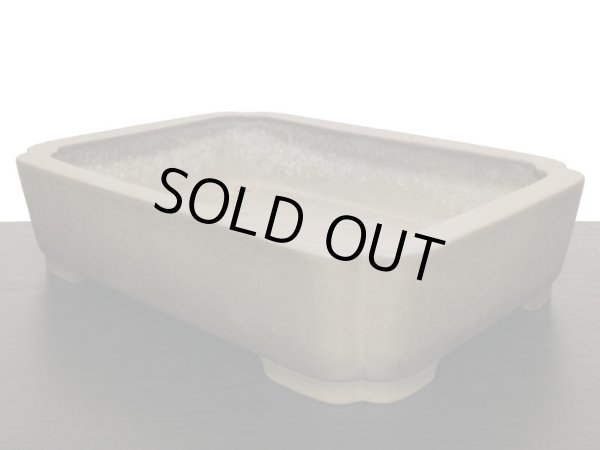 Photo6: "Nakano Gyouzan" Tokoname Pot / Japanese Bonsai Pot (6)