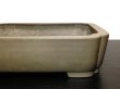 Photo4: "Nakano Gyouzan" Tokoname Pot / Japanese Bonsai Pot (4)