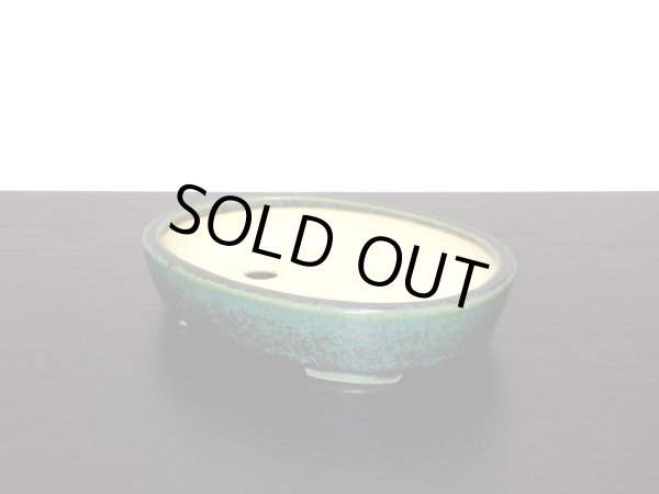 Photo5: "Koyo" Tokoname Pot / Japanese Bonsai Pot (5)