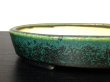 Photo3: "Koyo" Tokoname Pot / Japanese Bonsai Pot (3)