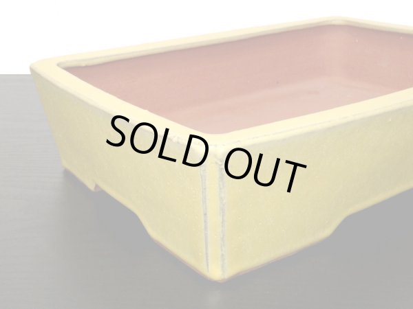 Photo3: "Eimei Yozan" Tokoname Pot / Japanese Bonsai Pot (3)