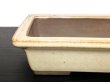 Photo6: "Yamaaki" Tokoname Pot / Japanese Bonsai Pot (6)