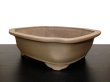 Photo2: "Nakano Gyouzan" Tokoname Pot / Japanese Bonsai Pot (2)