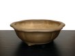 Photo1: "Koshousen Yamaaki" Tokoname Pot / Japanese Bonsai Pot (1)