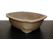 Photo4: "Nakano Gyouzan" Tokoname Pot / Japanese Bonsai Pot (4)