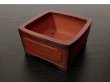 Photo9: "Bigei" Tokoname Pot / Japanese Bonsai Pot (9)