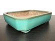 Photo3: "Shousen Yamaaki" Tokoname Pot / Japanese Bonsai Pot [HK0422] (3)