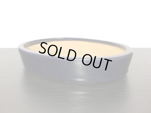 Photo3: "Hattori" Tokoname Pot / Japanese Bonsai Pot [HK0424] (3)