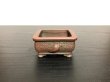 Photo1: "Bigei" Tokoname Pot / Japanese Bonsai Pot [HK0406] (1)