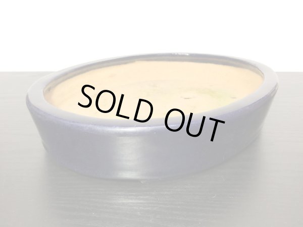 Photo2: "Hattori" Tokoname Pot / Japanese Bonsai Pot [HK0424] (2)