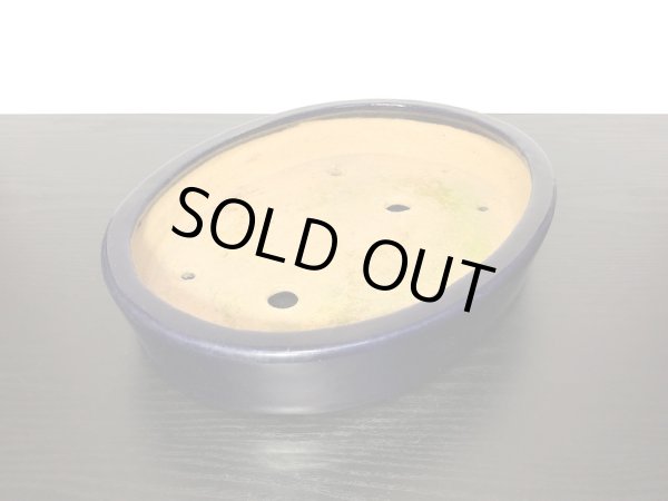 Photo6: "Hattori" Tokoname Pot / Japanese Bonsai Pot [HK0424] (6)