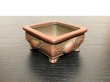 Photo8: "Bigei" Tokoname Pot / Japanese Bonsai Pot [HK0406] (8)