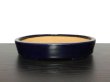 Photo1: "Hattori" Tokoname Pot / Japanese Bonsai Pot [HK0424] (1)