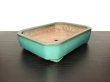 Photo4: "Shousen Yamaaki" Tokoname Pot / Japanese Bonsai Pot [HK0422] (4)