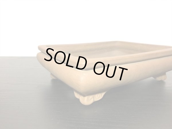 Photo6: "Zenigo" Tokoname Pot / Japanese Bonsai Pot [HK0423] (6)