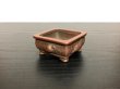 Photo9: "Bigei" Tokoname Pot / Japanese Bonsai Pot [HK0406] (9)