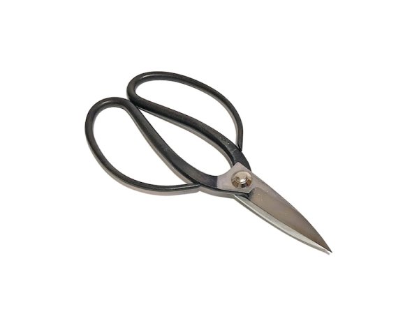 Photo1: Bonsai scissors / Blade polished (YAGIMITSU) [B-4] (1)