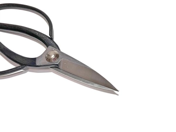 Photo2: Bonsai scissors / Blade polished (YAGIMITSU) (2)