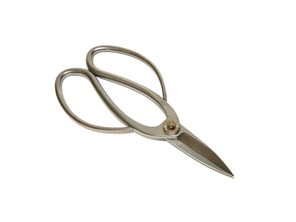 Photo1: Bonsai scissors / Hard chrome (YAGIMITSU) [HK-6] (1)