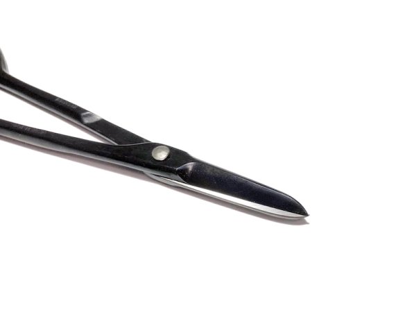 Photo2: Bud trimming shears (MASAKUNI) (2)