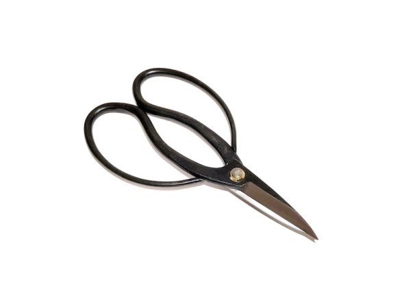 Photo1: Bonsai scissors (RYUKO) (1)