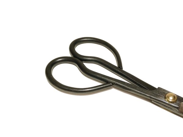 Photo3: Satsuki scissors / Small (GINPO) (3)