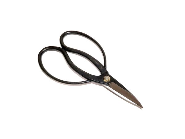 Photo6: Bonsai tool 5-pieces set (YAGIMITSU) (6)