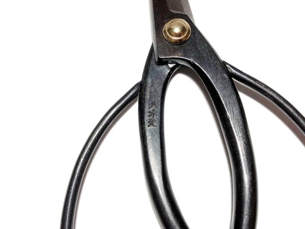 Photo4: Bonsai scissors (RYUKO) (4)