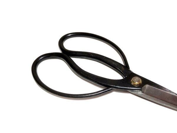 Photo3: Bonsai scissors (RYUKO) (3)