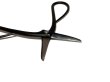 Photo3: [Patent] Trimming shears / Long handled (MASAKUNI) (3)