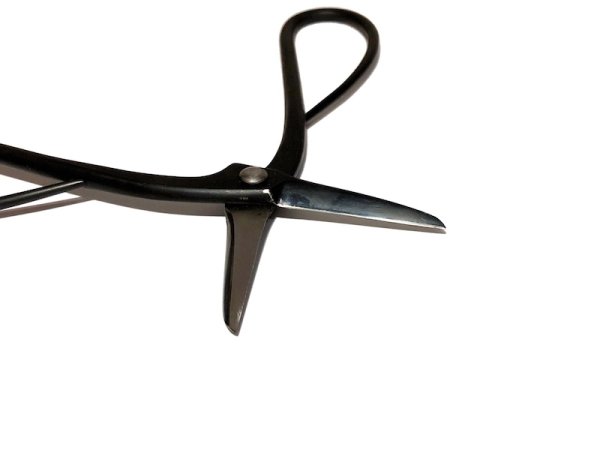 Photo3: [Patent] Trimming shears / Long handled (MASAKUNI) (3)