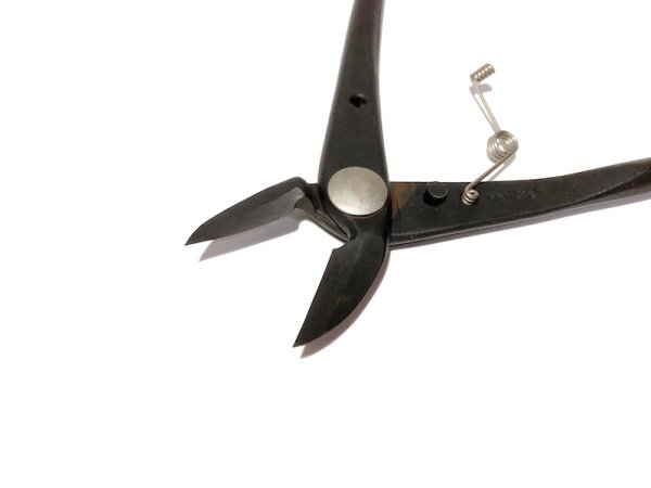 Photo3: Brunch cutter / Crescent Blade / Small size (MASAKUNI) (3)