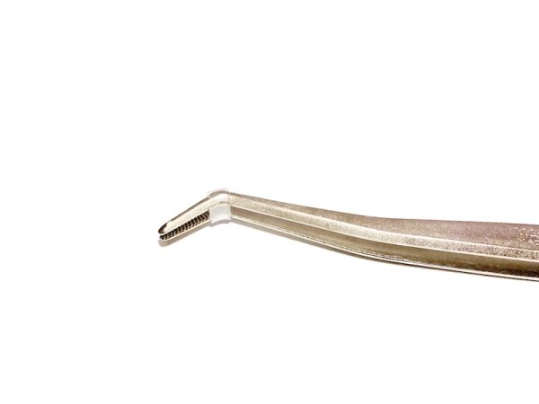 Photo2: Bonsai tweezers for Pines and Junipers / Curved (MASAKUNI) (2)