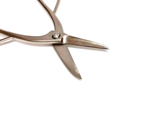 Photo4: Trimming shears / Long handled (MASAKUNI) (4)