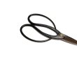 Photo4: Bonsai scissors (4)