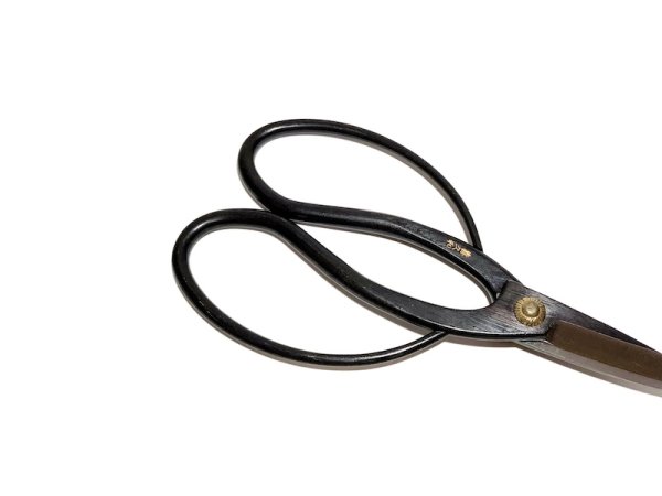 Photo4: Bonsai scissors (4)