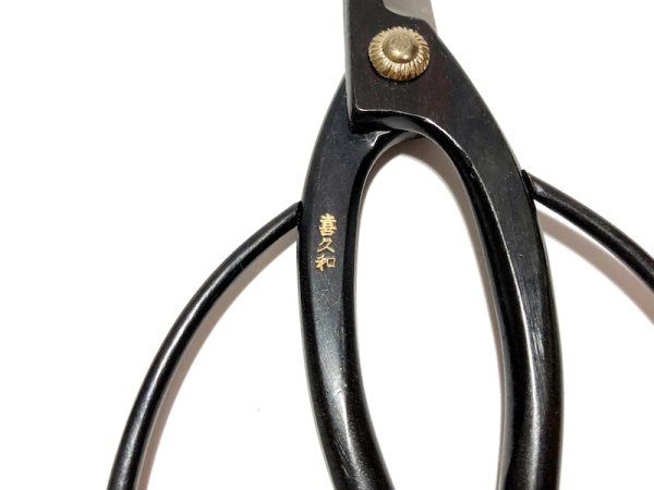 Photo5: Bonsai scissors (5)