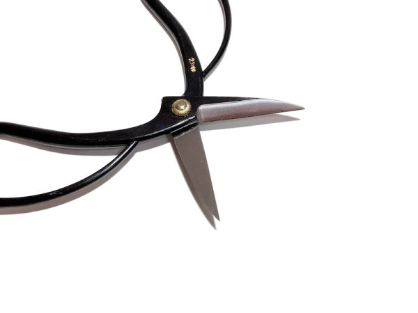 Photo3: Bonsai scissors (3)